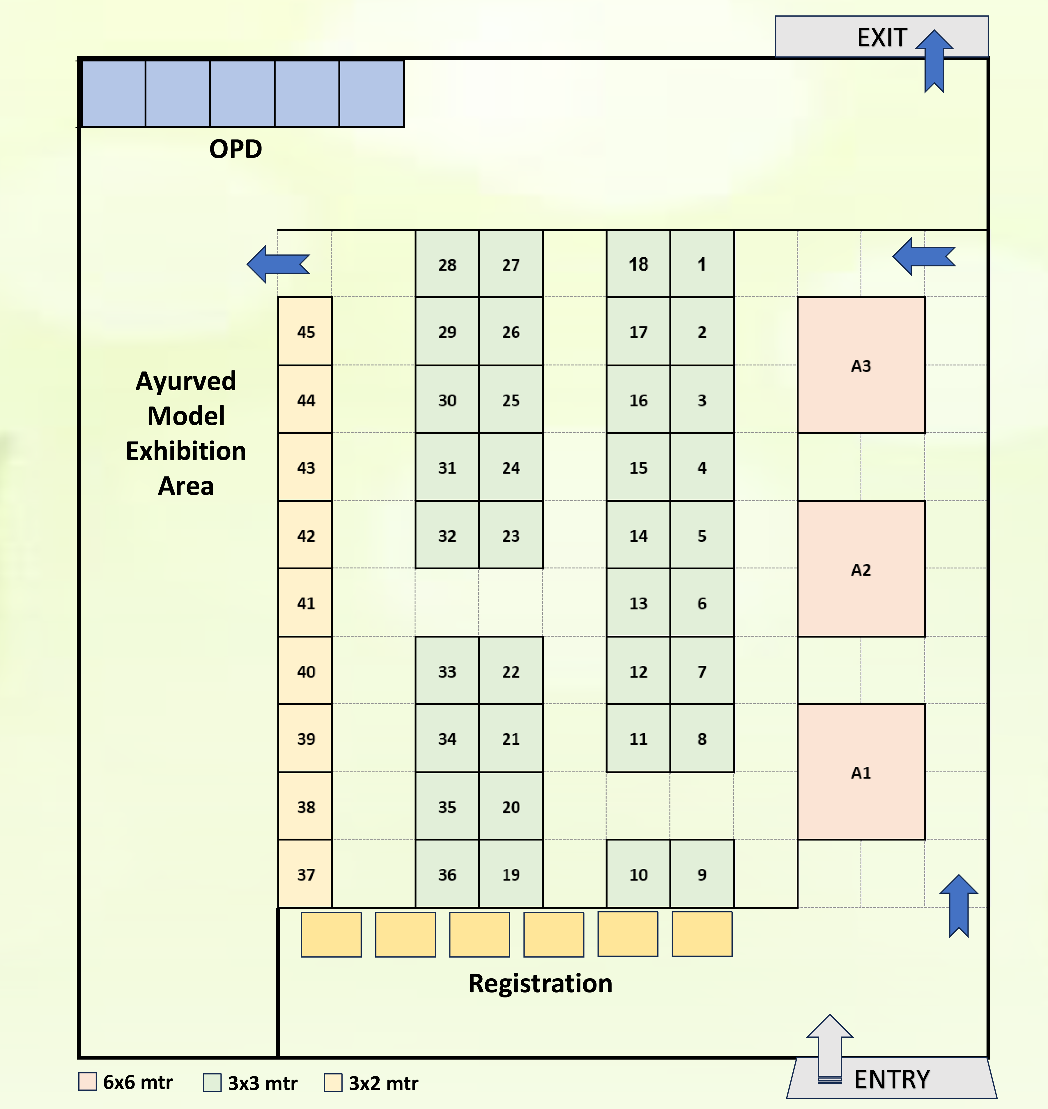 Expo Layout
